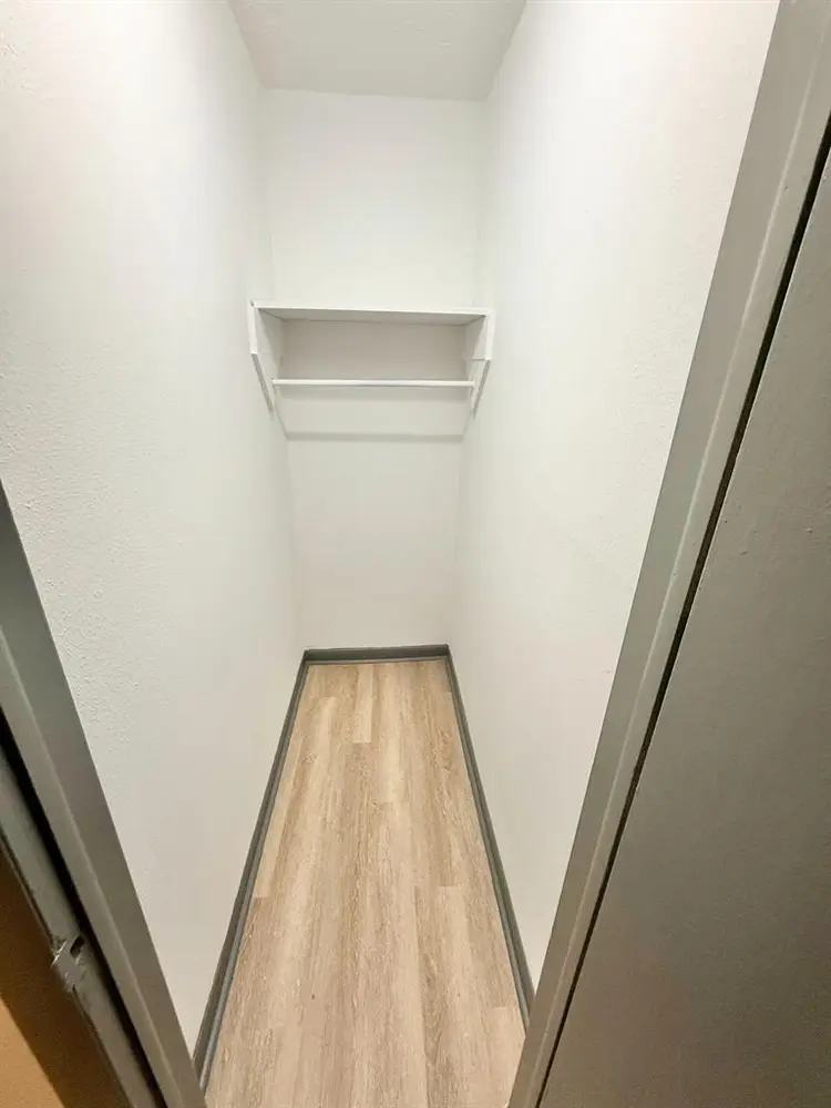 3 BR in Tampa