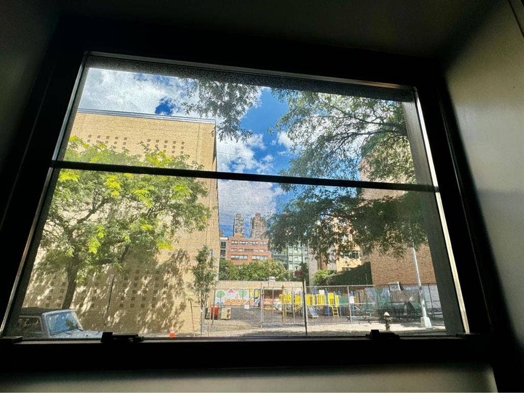 Looking for a roommate