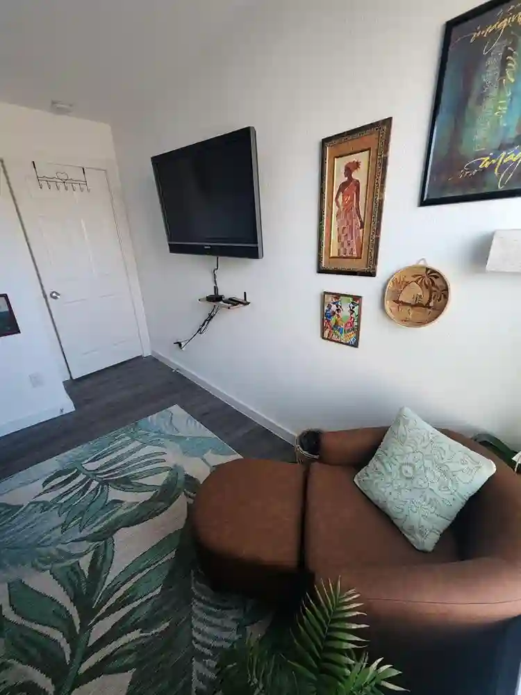 1 BR in Houston