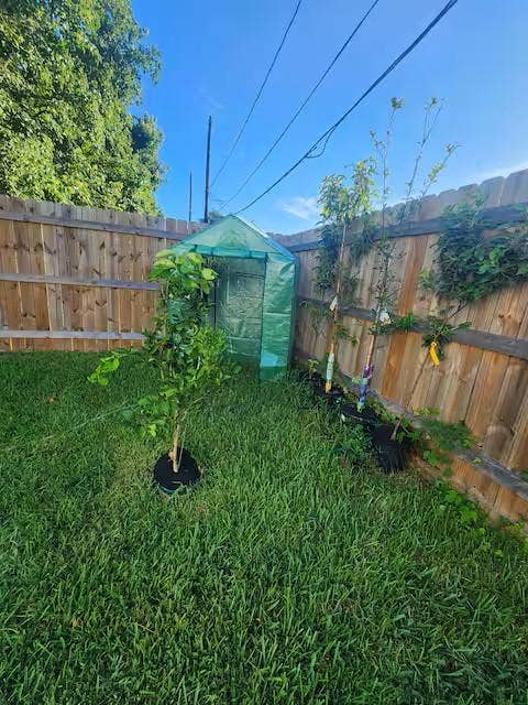 1 BR in Houston
