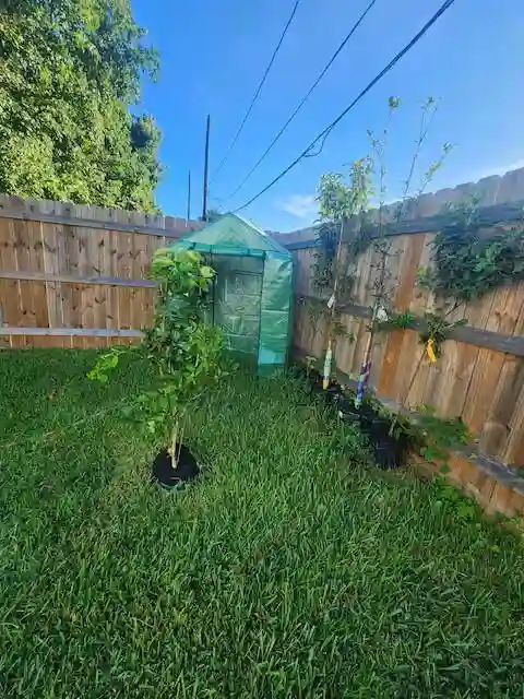 1 BR in Houston