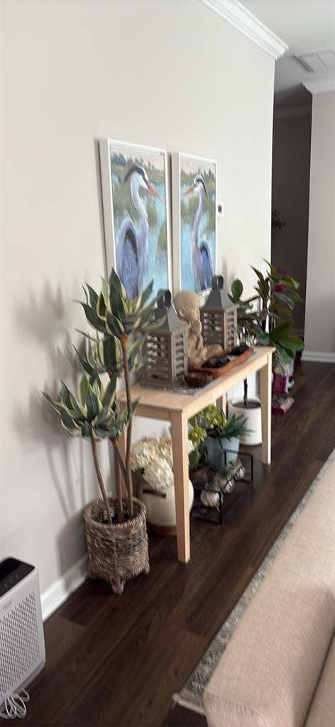 Roommate Wanted Now!!!!!