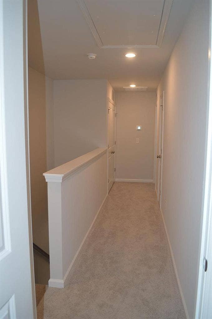 3 BR in Raleigh