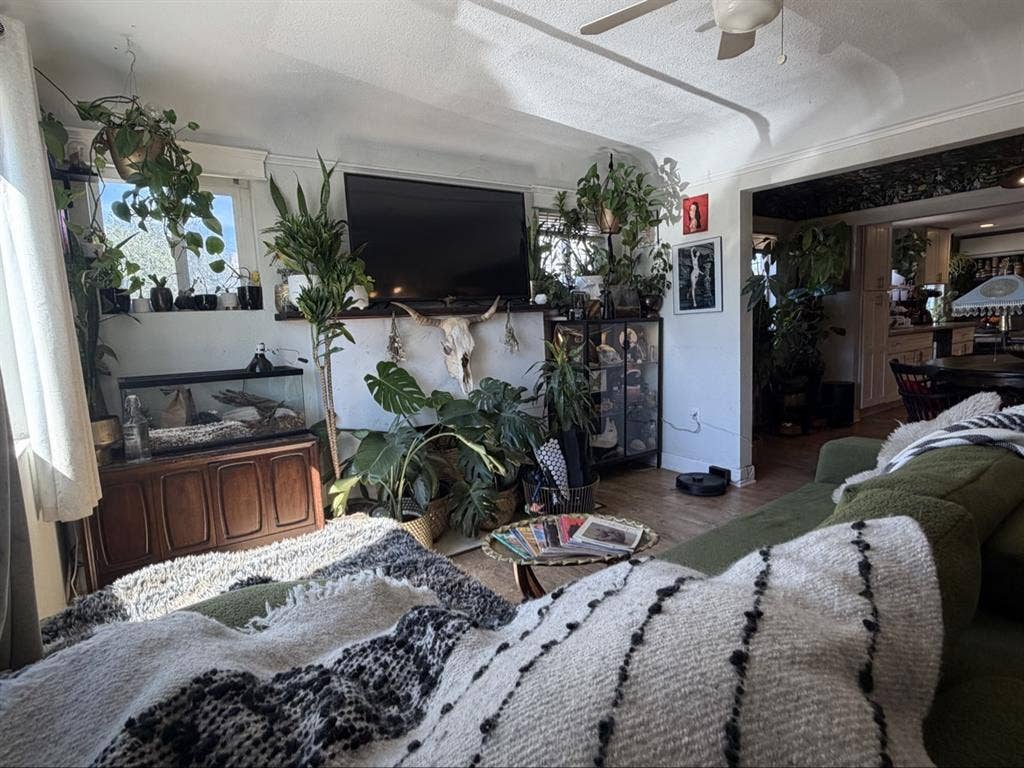 Master bedroom in normal heights