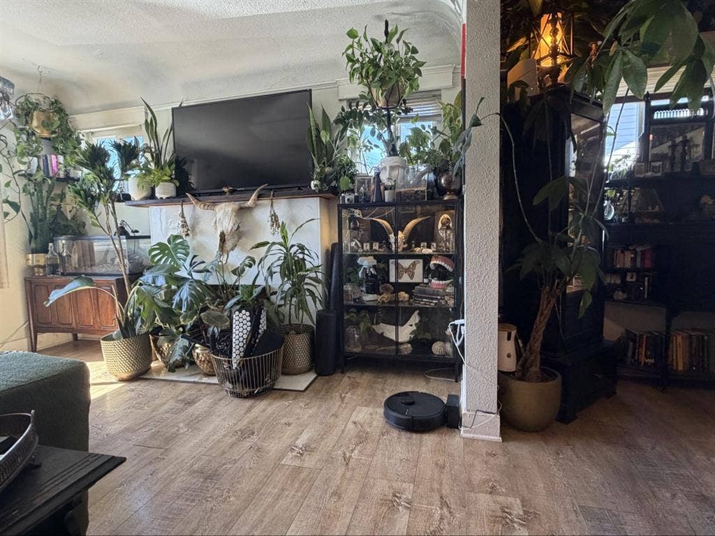 Master bedroom in normal heights