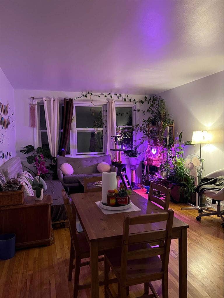 Private room in a shared apartment