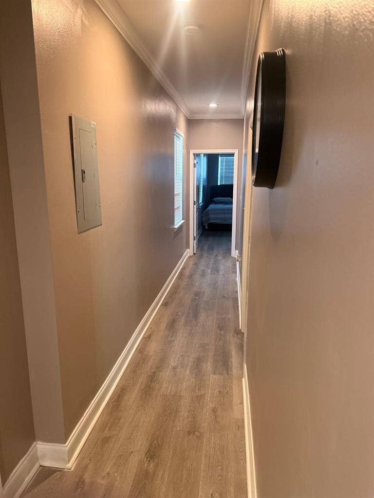 3 BR in New Orleans