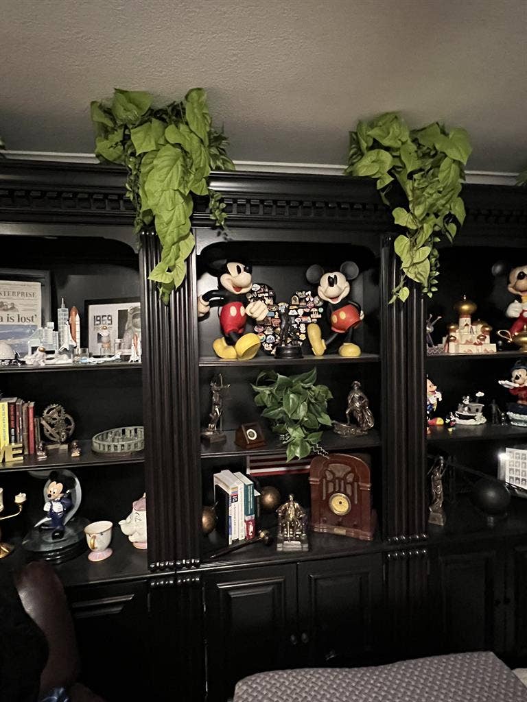 Room for rent in quiet household