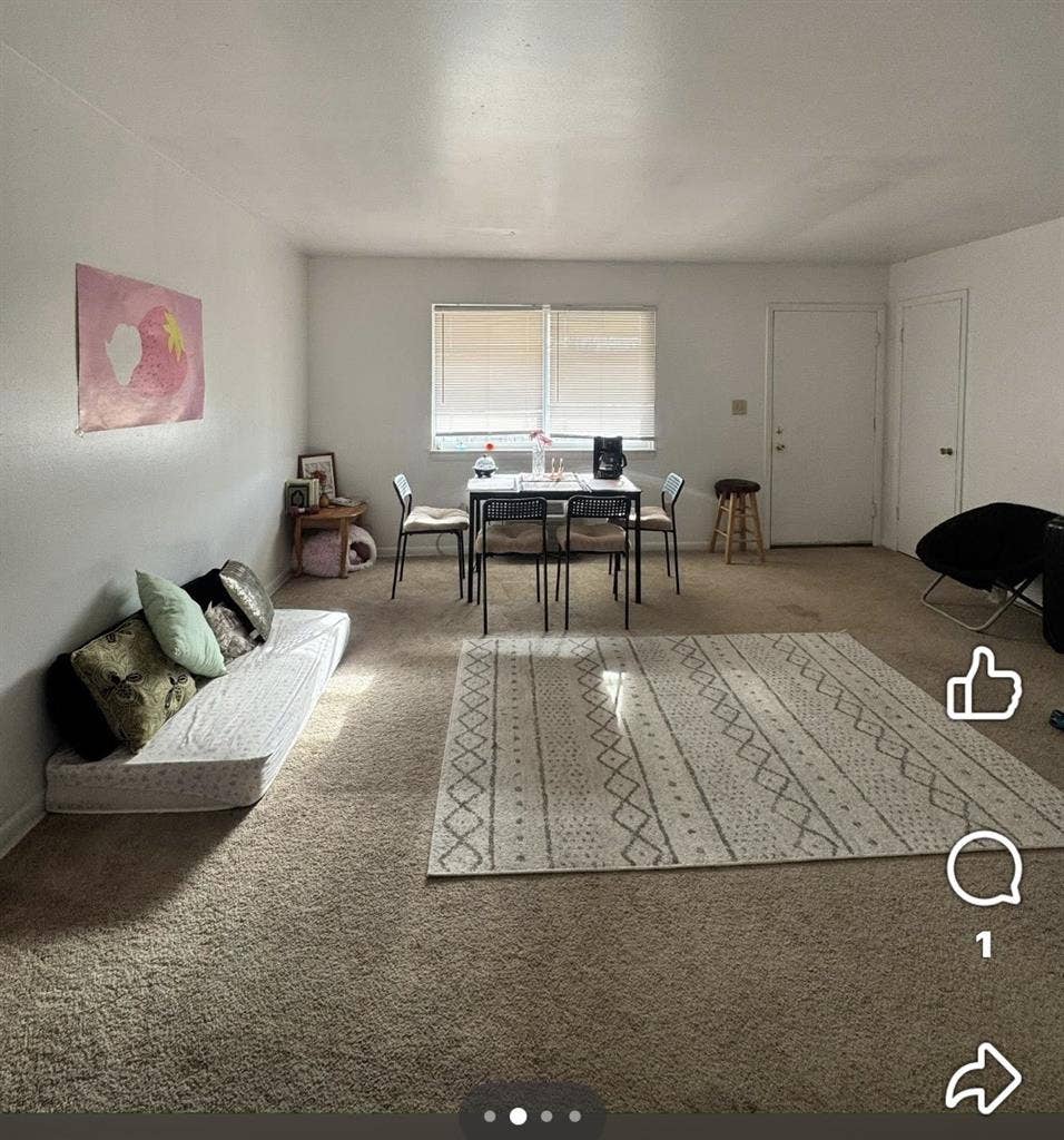 Comfortable, convenient apartment