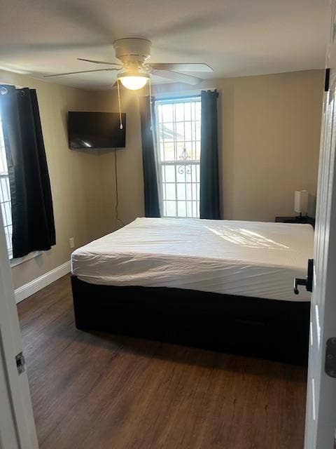 6 BR in Tampa