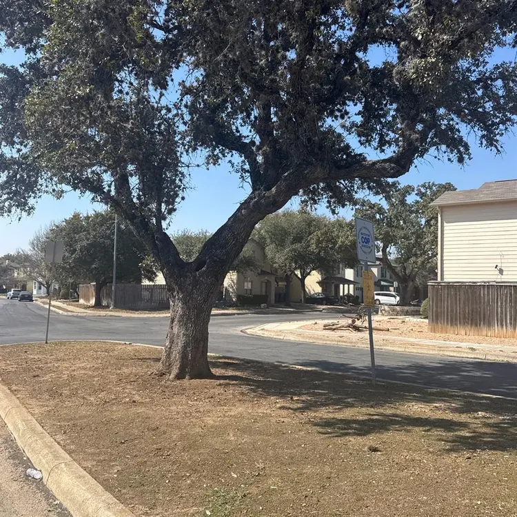 Two rooms for rent. UTSA Area