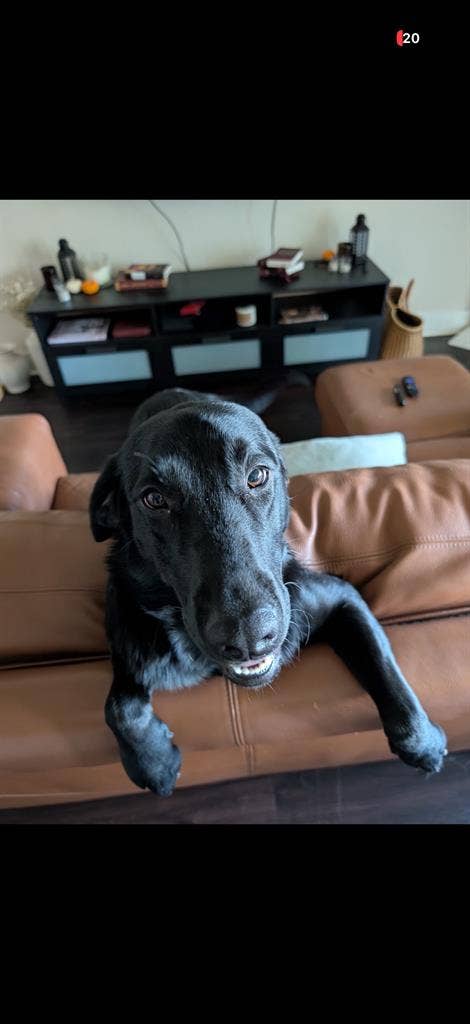 Room for rent in 2 bed 2 bath