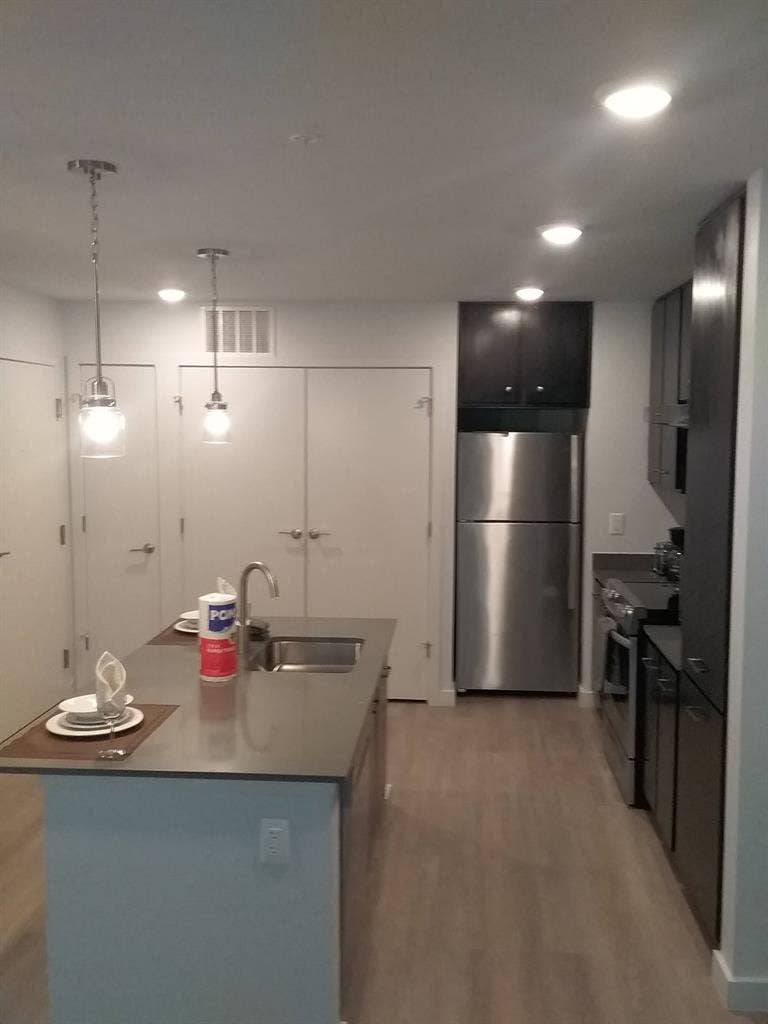 Executive Furnished 1BR - FLATZ 830