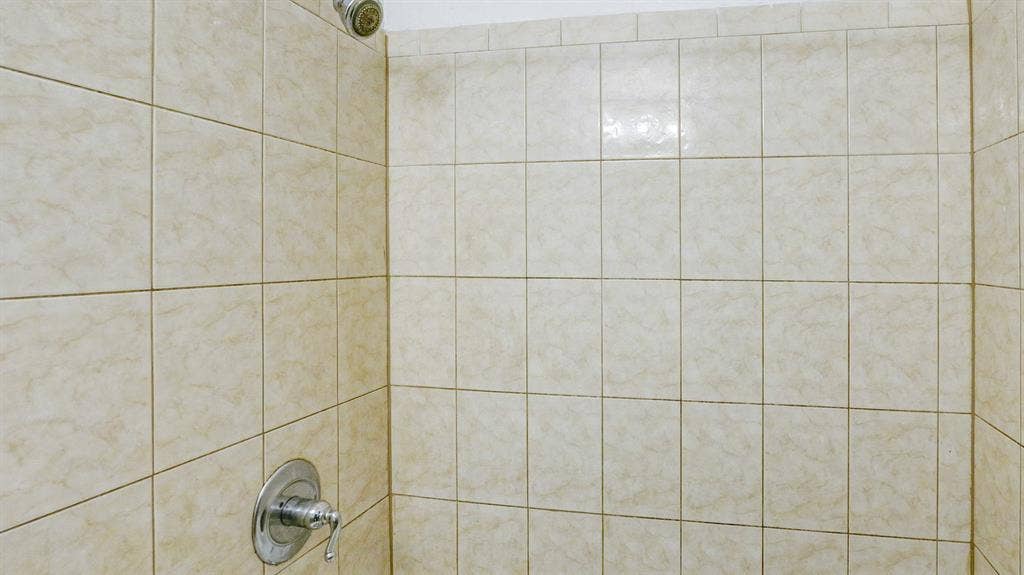 4 BR in Tampa