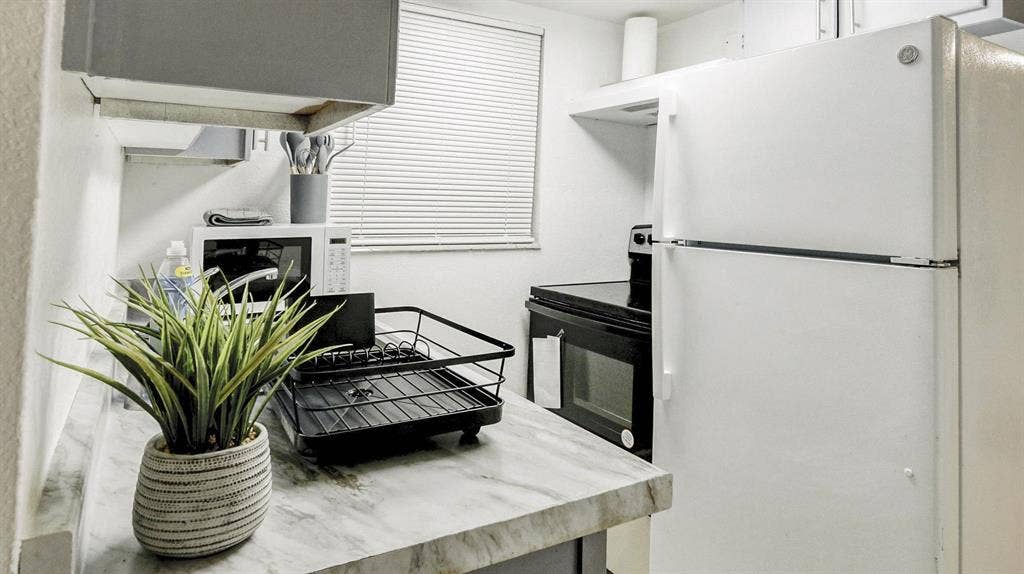 4 BR in Tampa