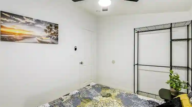4 BR in Tampa