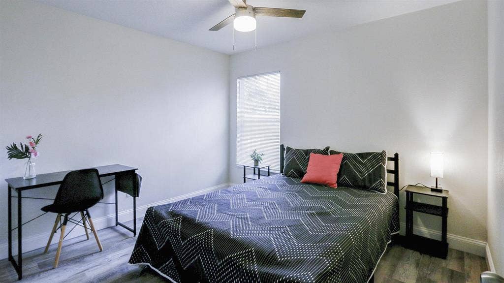 5 BR in Tampa