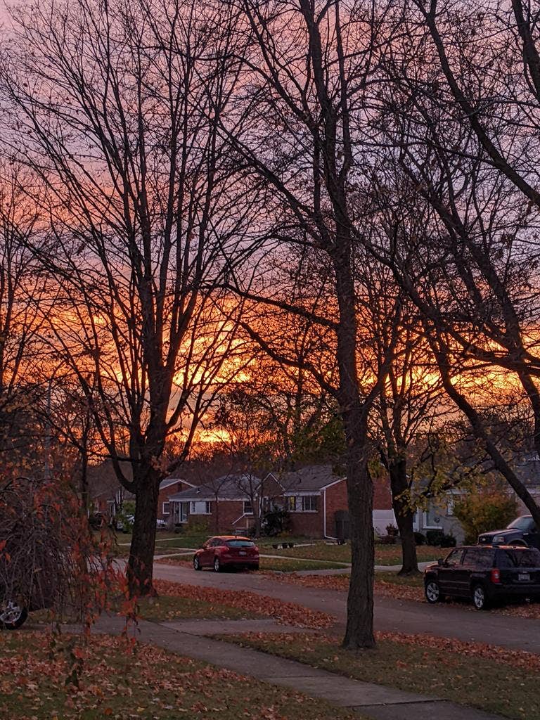 room for rent, lgbtq preferred