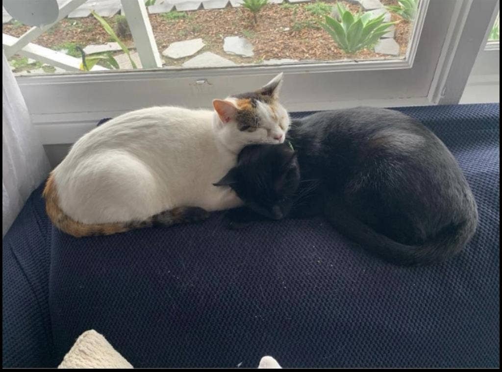 Quiet Considerate Home Looking