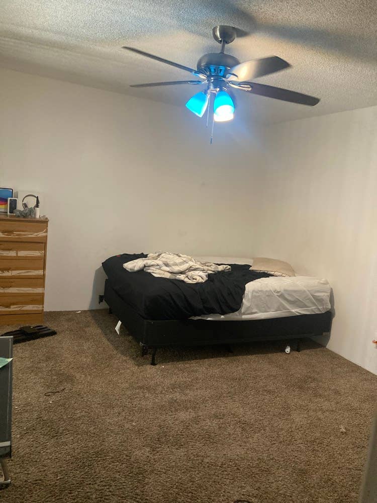 Looking for a roommate