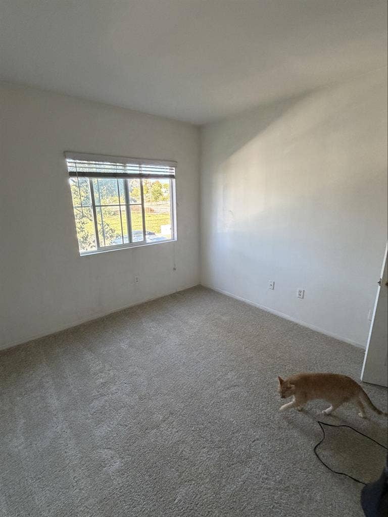 Private room for rent