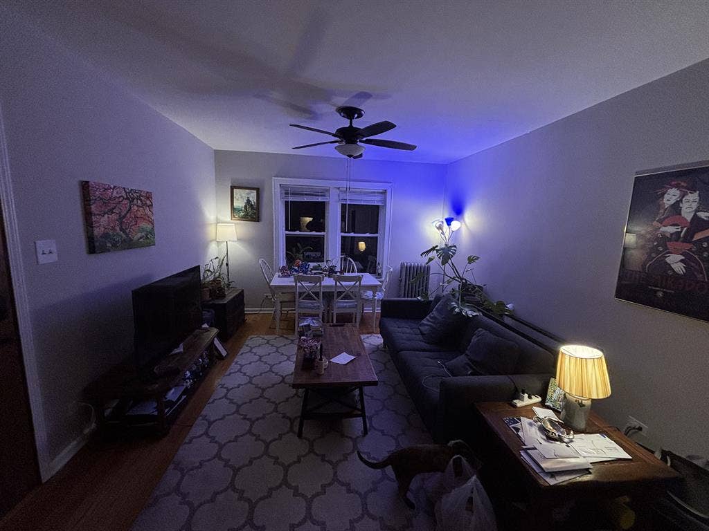 Looking for Roommate