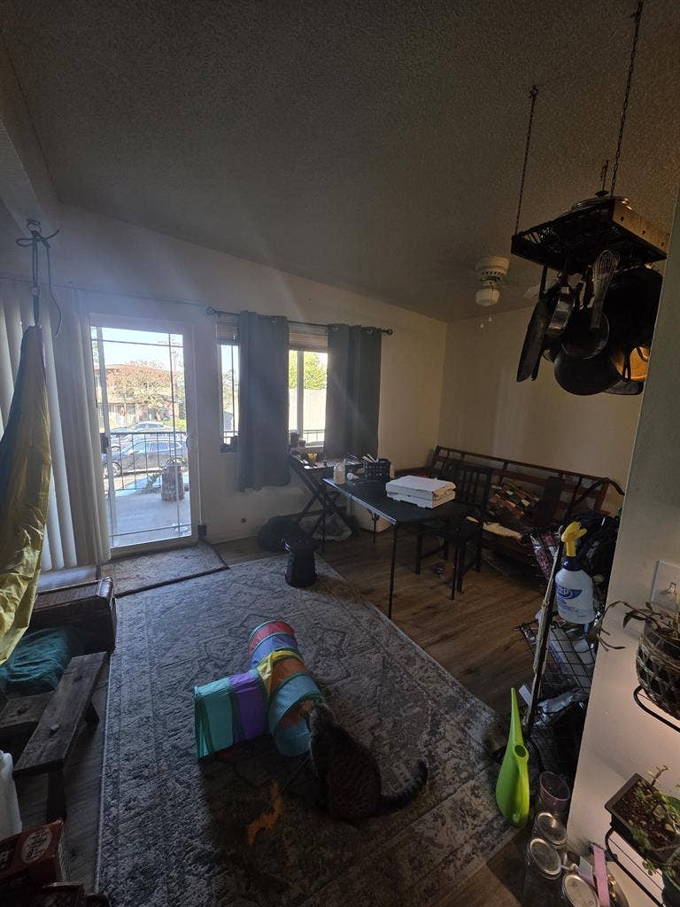 Room for rent - Tacoma Mall