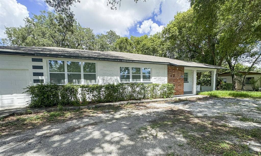 8 BR in Tampa