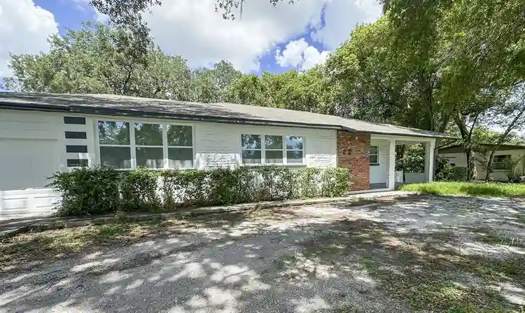 8 BR in Tampa