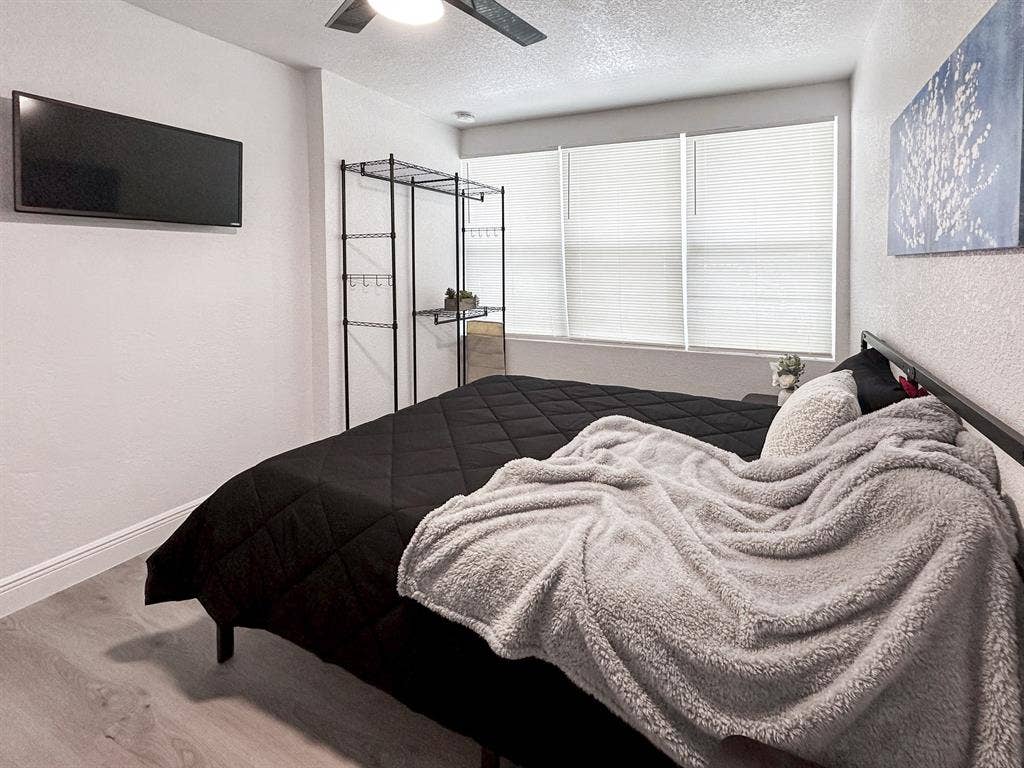 8 BR in Tampa