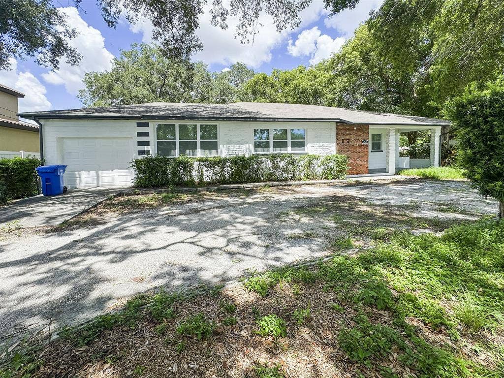 8 BR in Tampa