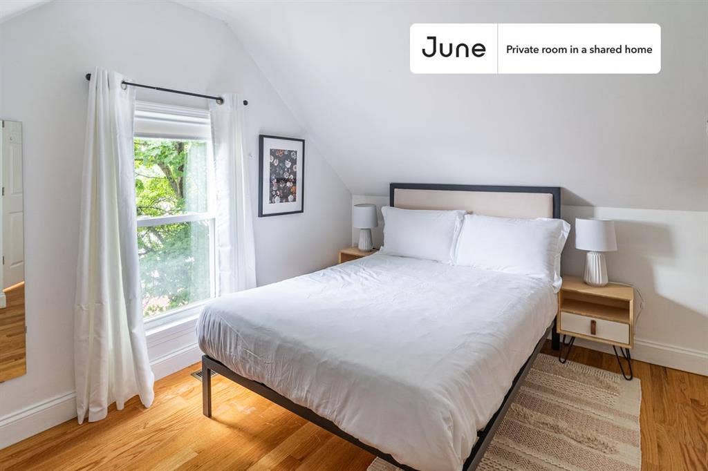 6 BR in Boston