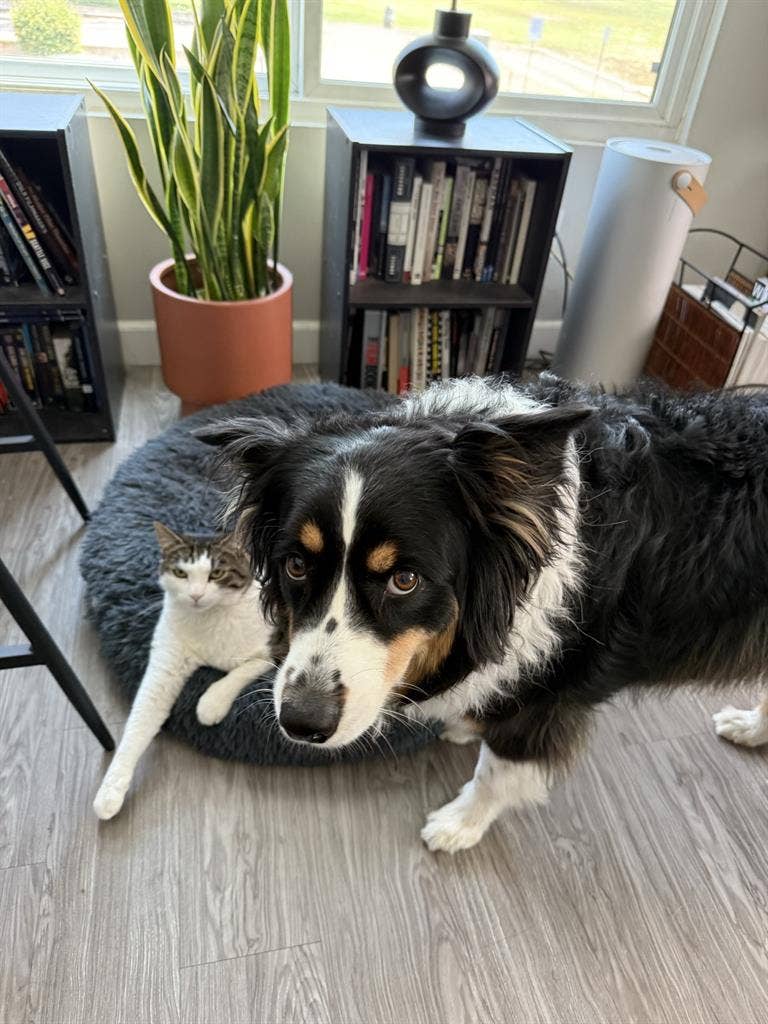 Quiet Sherman Oaks Room