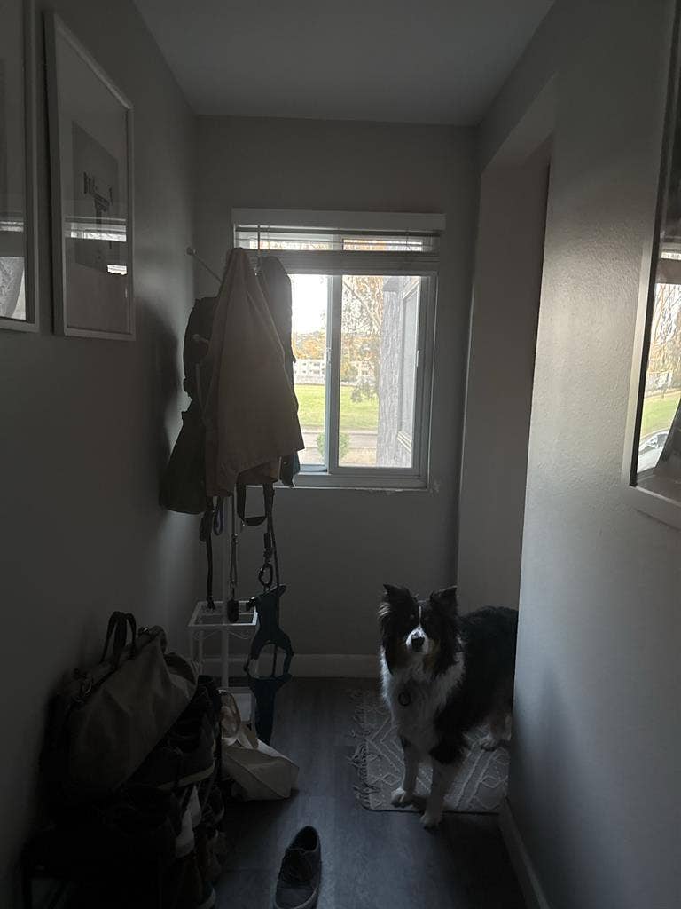 Quiet Sherman Oaks Room