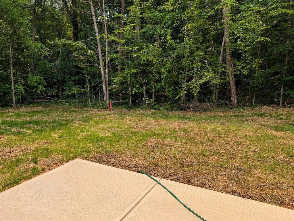 5 BR in Charlotte