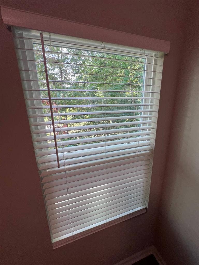 5 BR in Charlotte