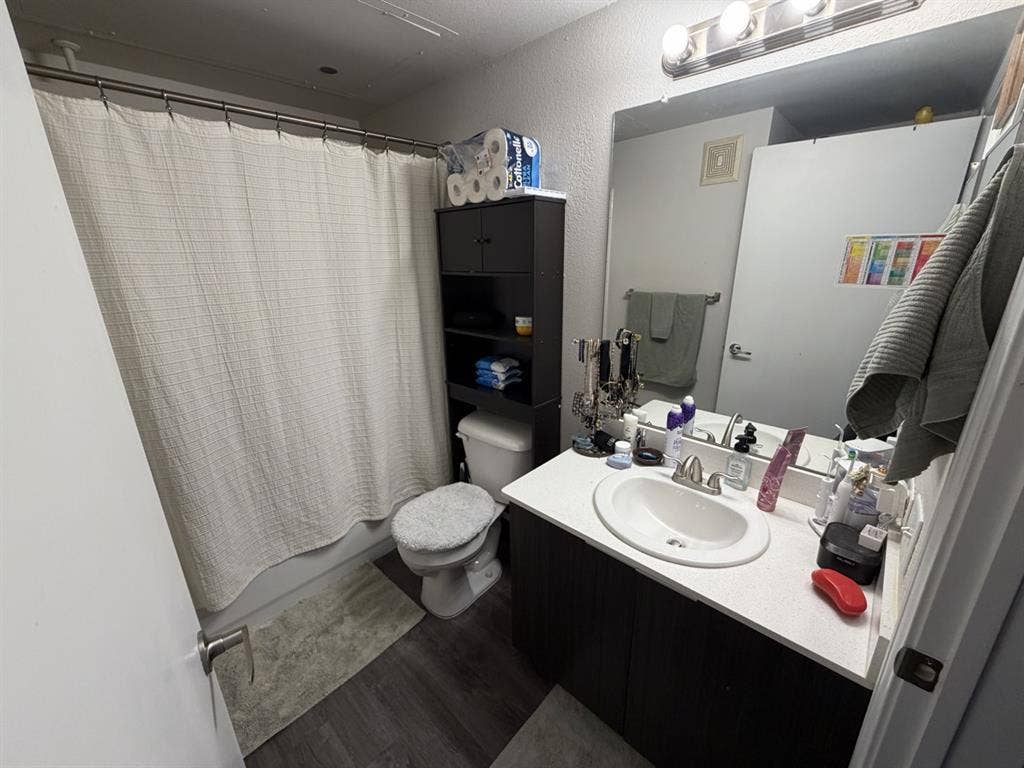 STUDIO JUNE 1 - JULY 20 SUBLEASE