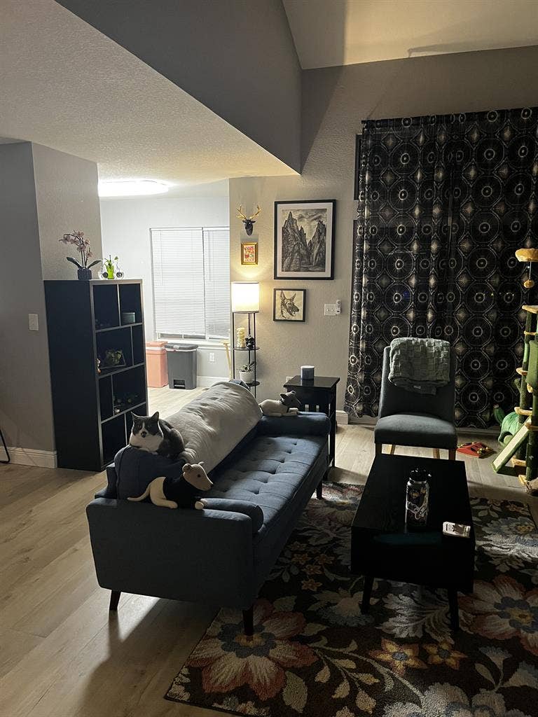 Private Room, Three floor townhome