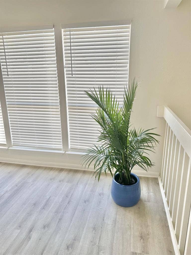 8 BR in Houston