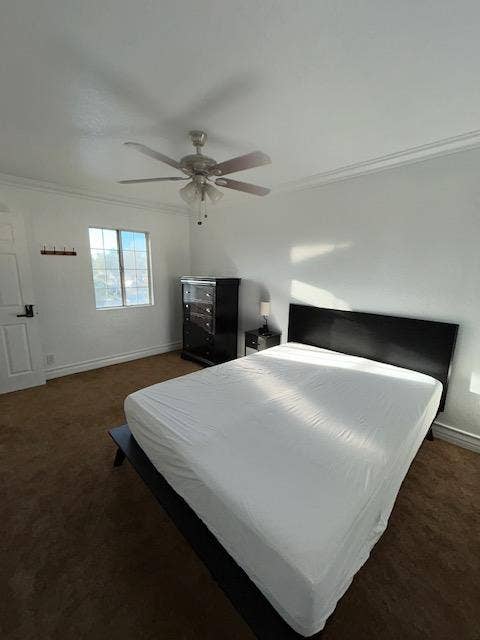 7 BR in Santa Ana