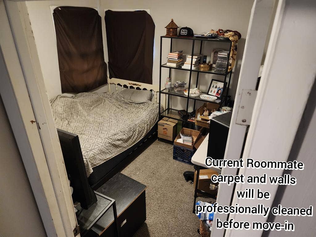 Professional Roommate