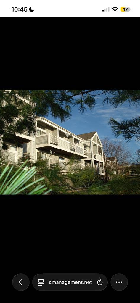 1 bedroom apartment for lease