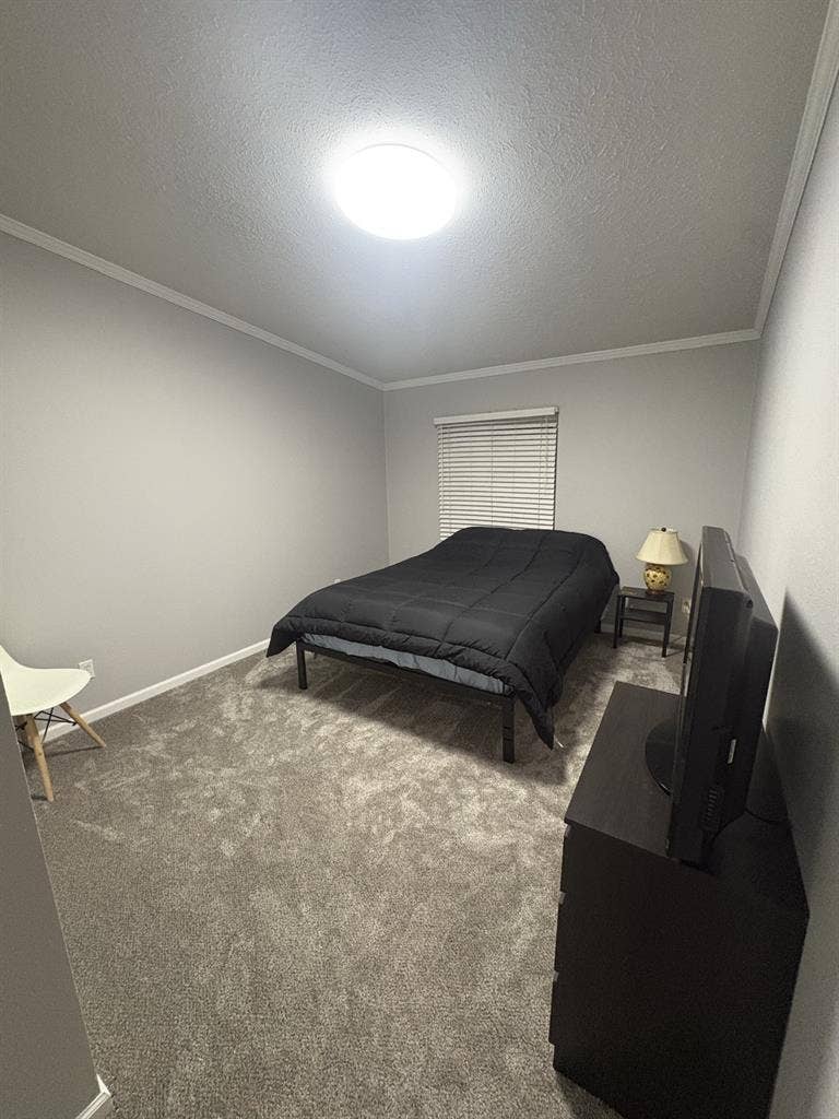 Looking for a new roommate