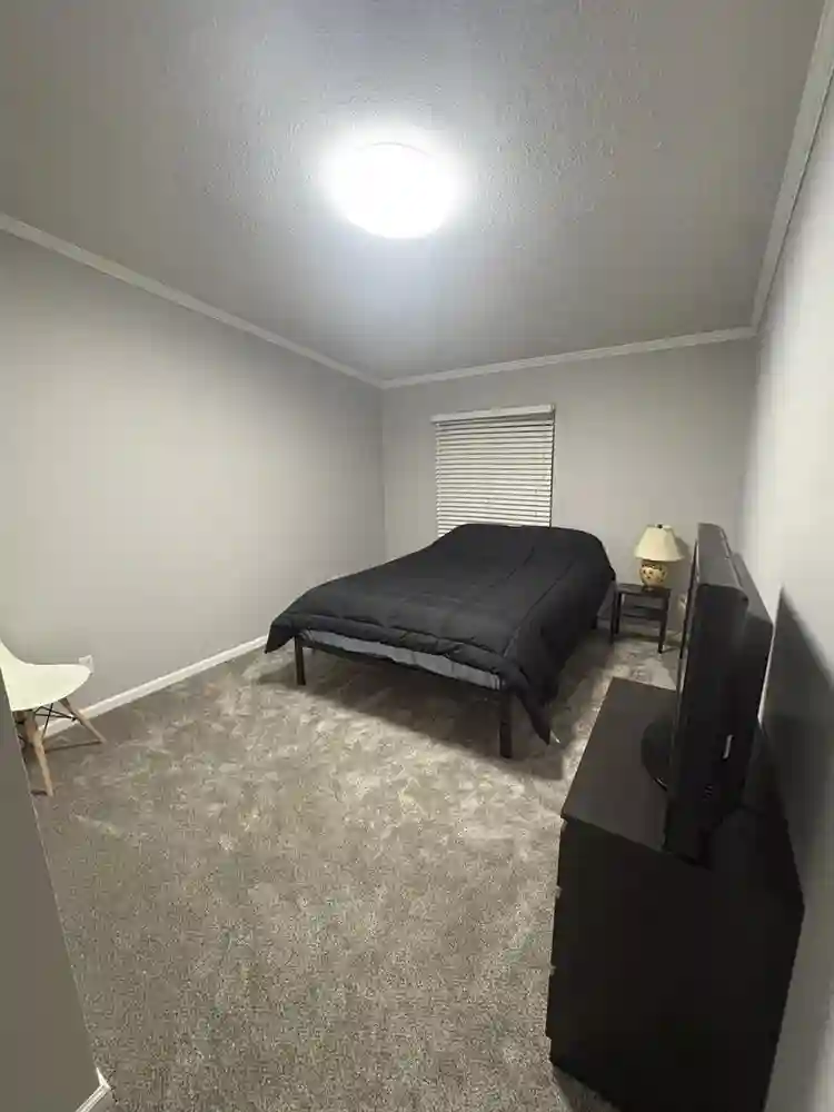 Looking for a new roommate