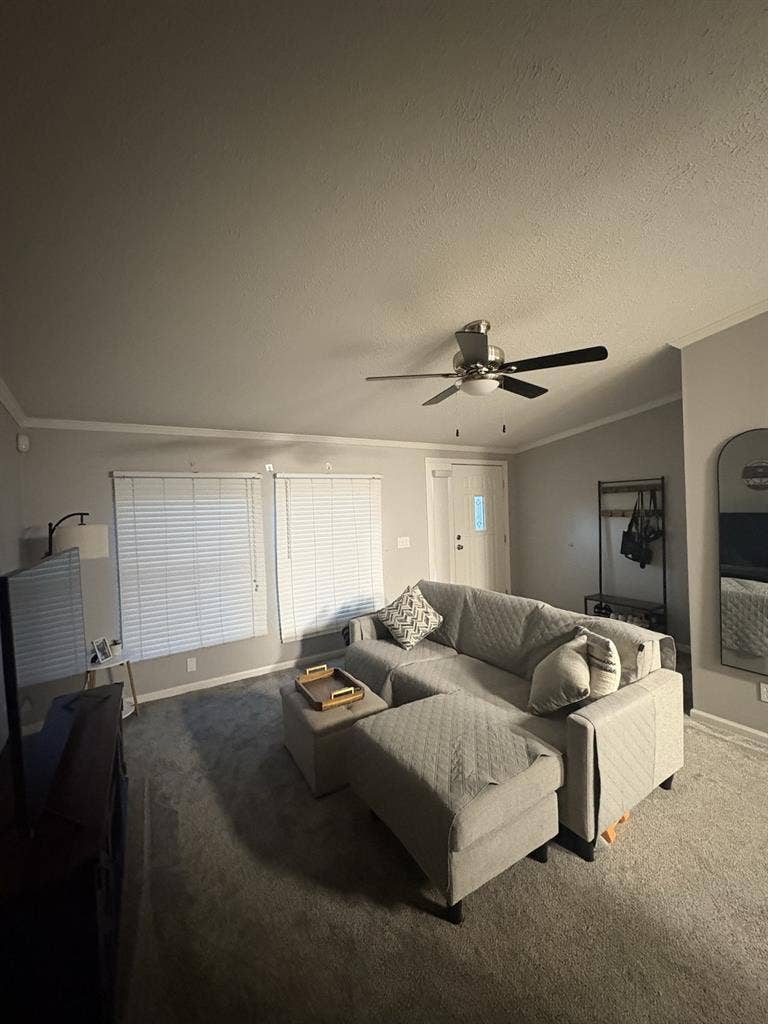 Looking for a new roommate