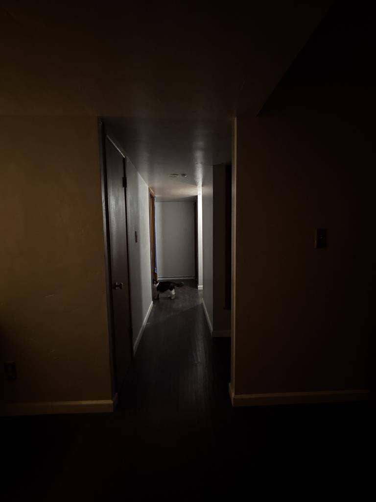 roommate needed