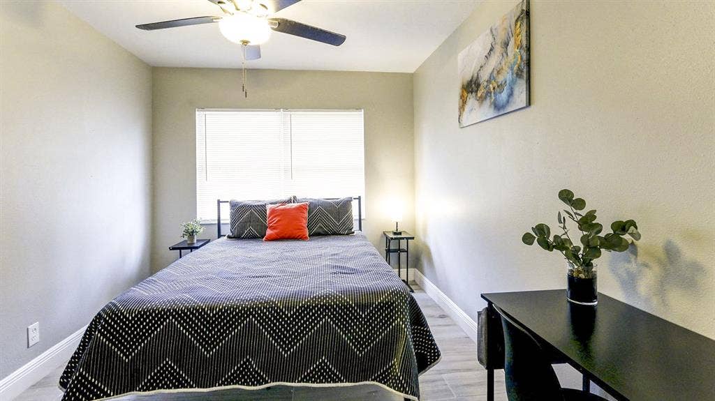 5 BR in Tampa