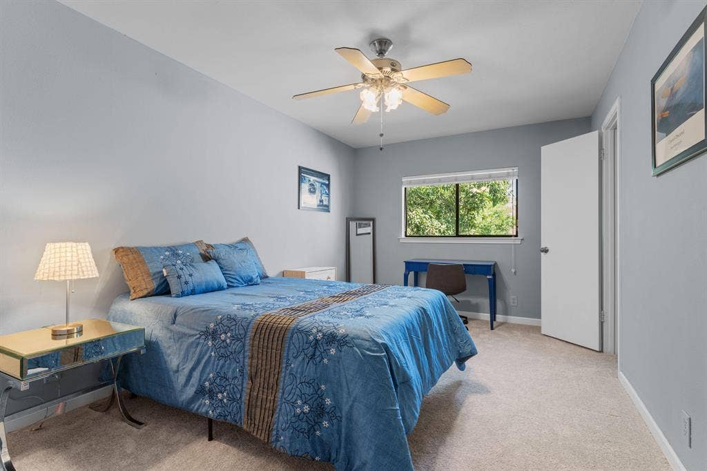 5 BR in Converse