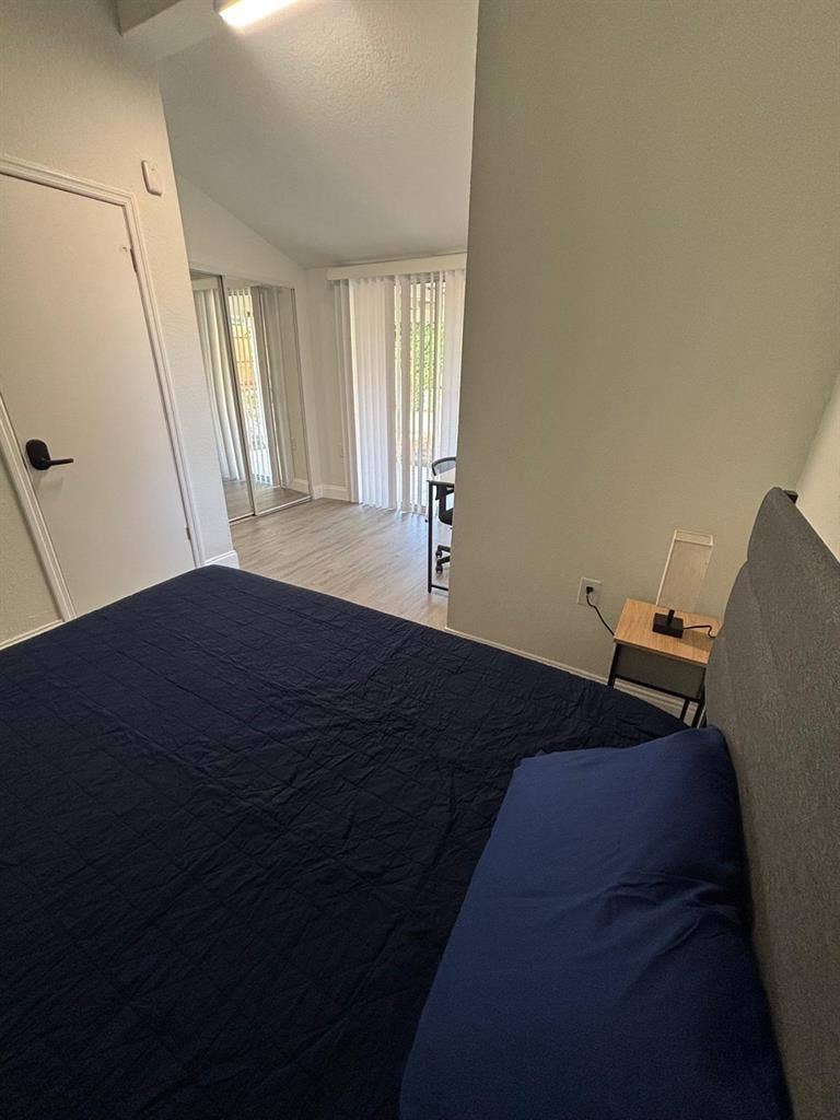 8 BR in Tampa