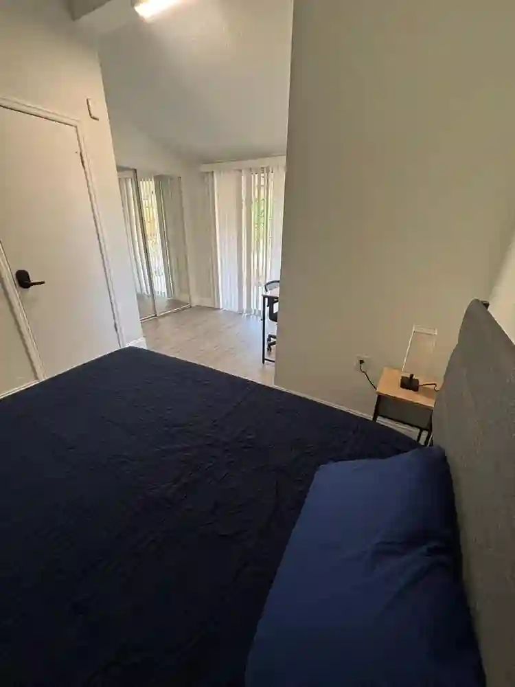 8 BR in Tampa